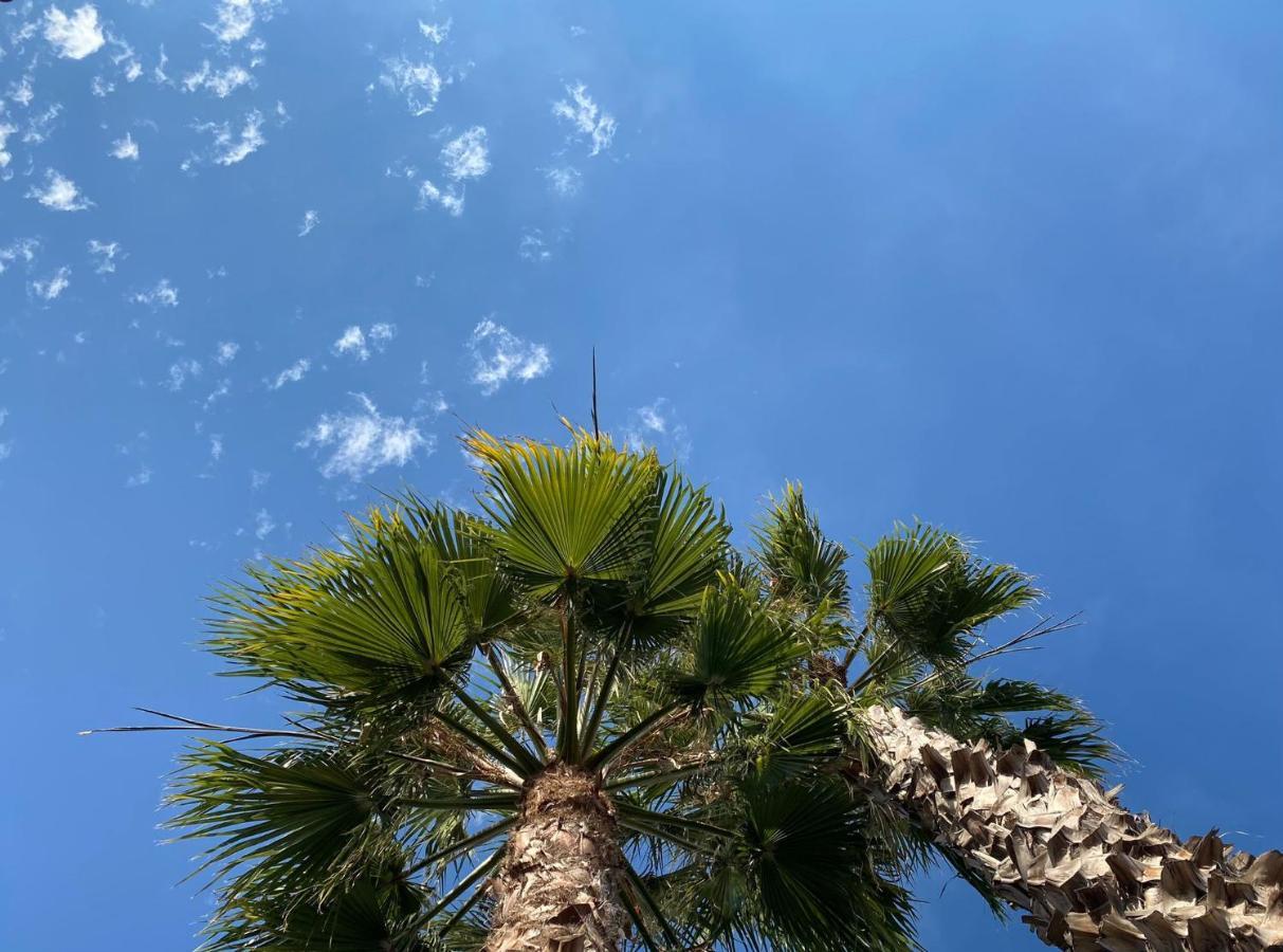 Villa Paula Alcossebre Mar Y Montana Εξωτερικό φωτογραφία